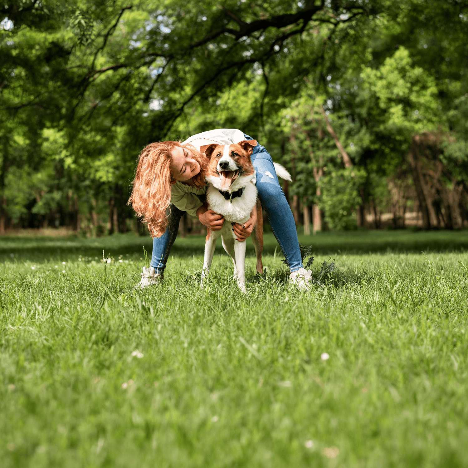 Fuegos artificiales y mascotas: cómo preparar a tu perro o gato